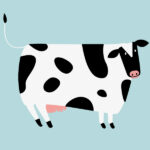 Illustration of a cow that produces dairy milk against a blue background